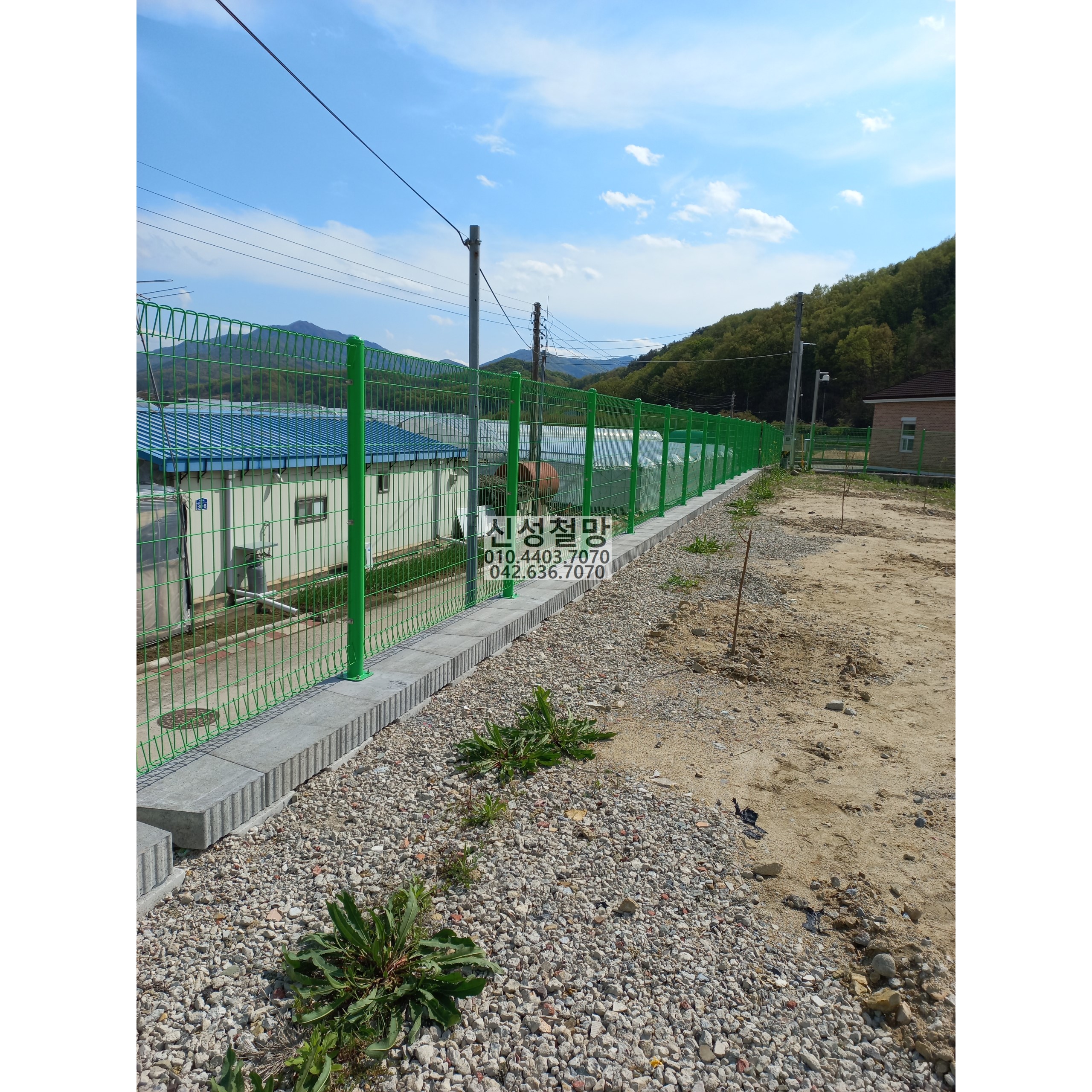 1981969669_0CJBMUS7_a543dee0b7ca66c32fd262e370116b381cd4c33d.jpg 이미지크게보기