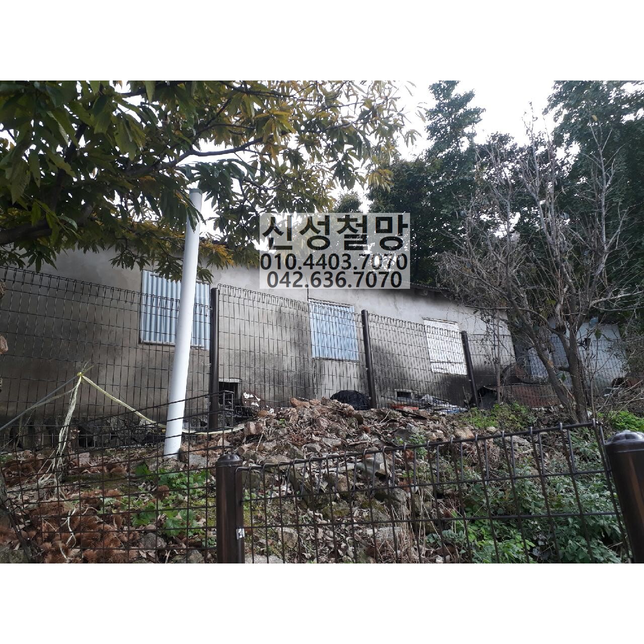 1981969669_4Sdtylg7_26262425659cbb974f79f1010e909ac08792daab.jpg 이미지크게보기