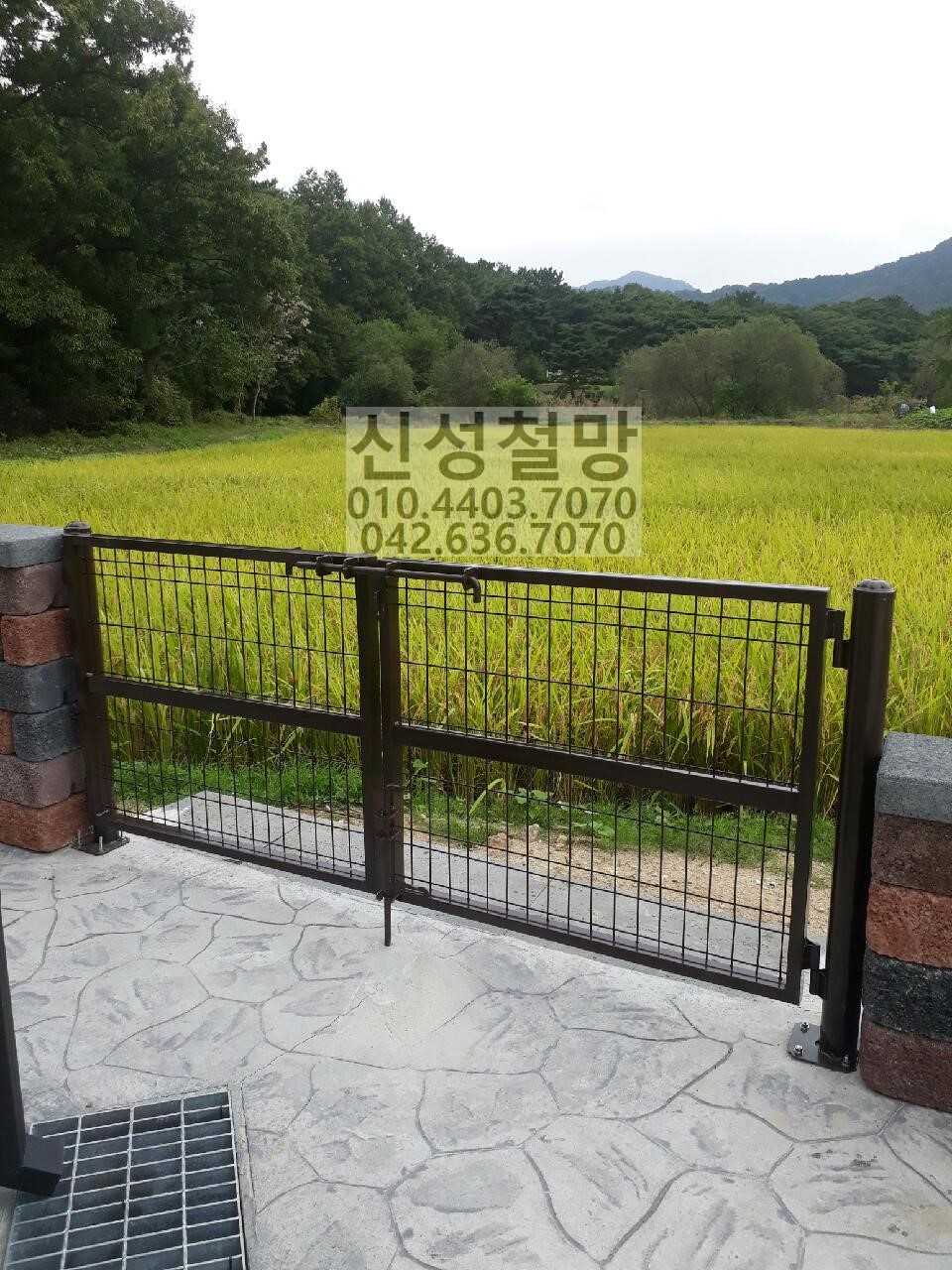 1981969669_8yE6IXON_f82f48bac162e69e9dc106ee74fabb5fcd94eafb.jpg 이미지크게보기