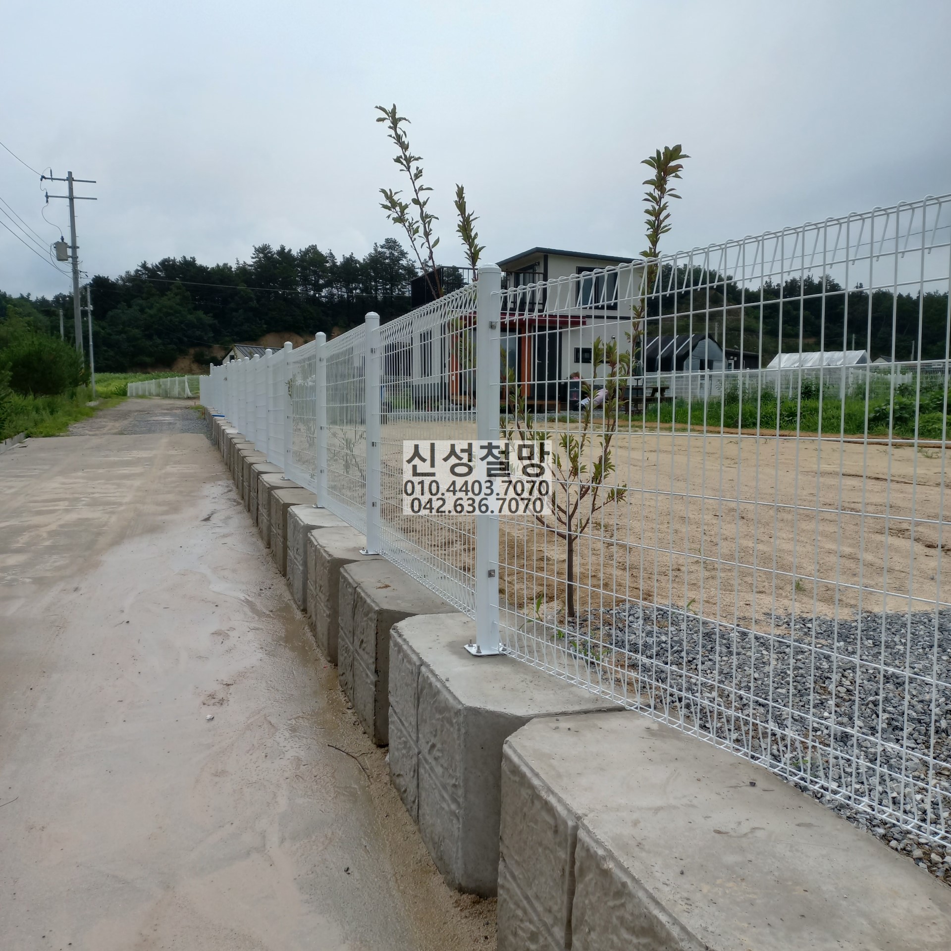 1981969669_A4ZwI0Eq_d9f042351a0334ccaa60143ac7c9bc0c596a08aa.jpg 이미지크게보기