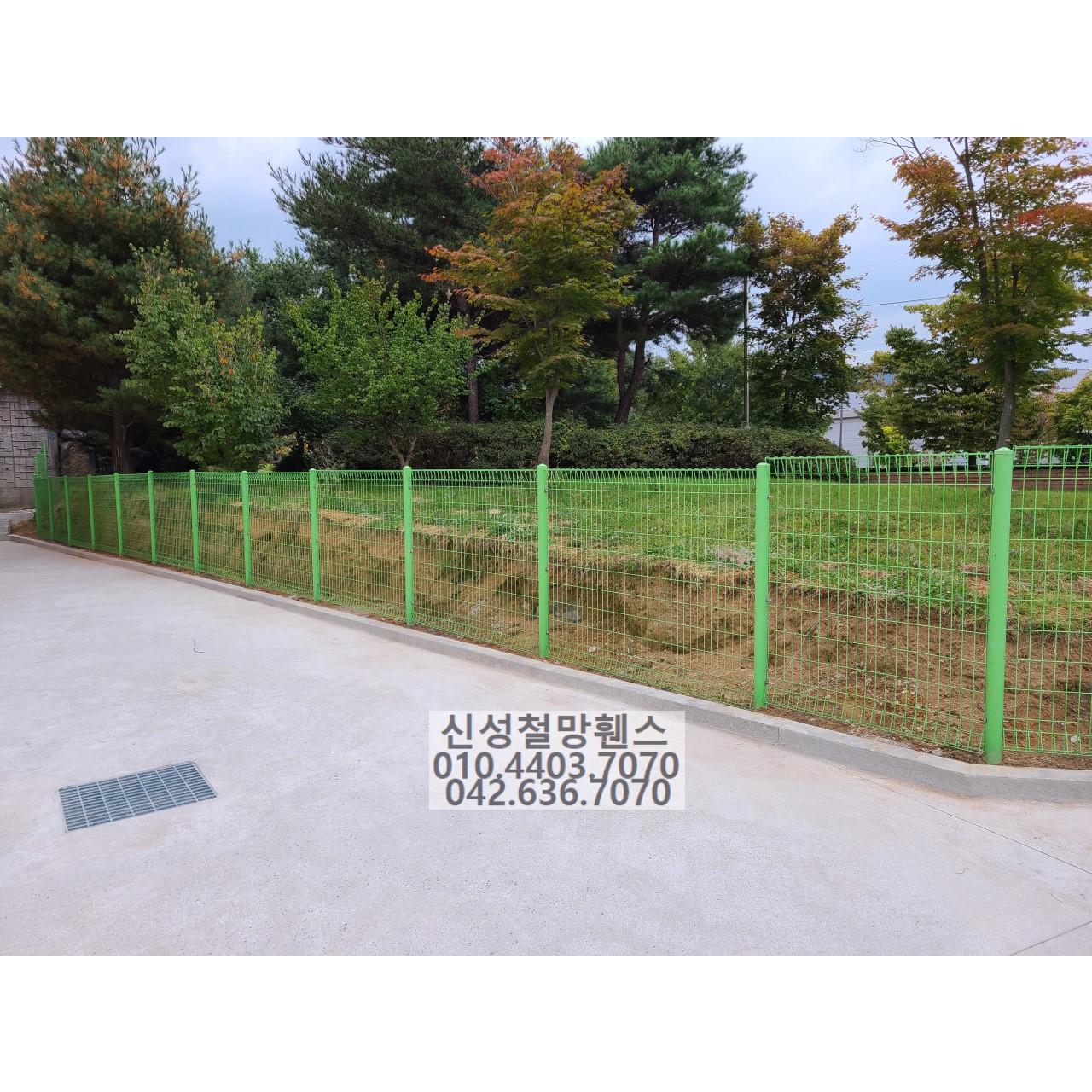 1981969669_AYBEGVzb_51f75e6a11525bb2818df88bcde6aab7acb047de.jpg 이미지크게보기