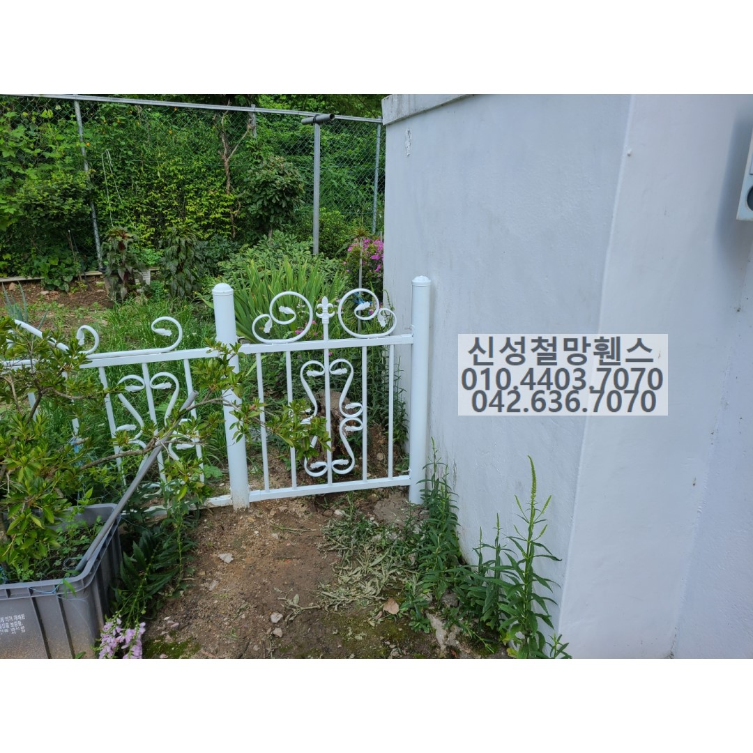 1981969669_BWFhk2G5_f159b46768af6eea18c20e99c470c510a0d884bc.jpg 이미지크게보기