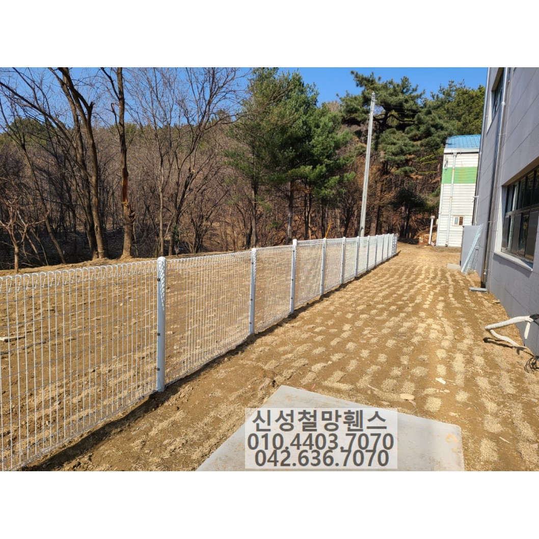 1981969669_CDx7uYMZ_3d421d0a4934d36474fb4c7bfae40bcbf13176fa.jpg 이미지크게보기