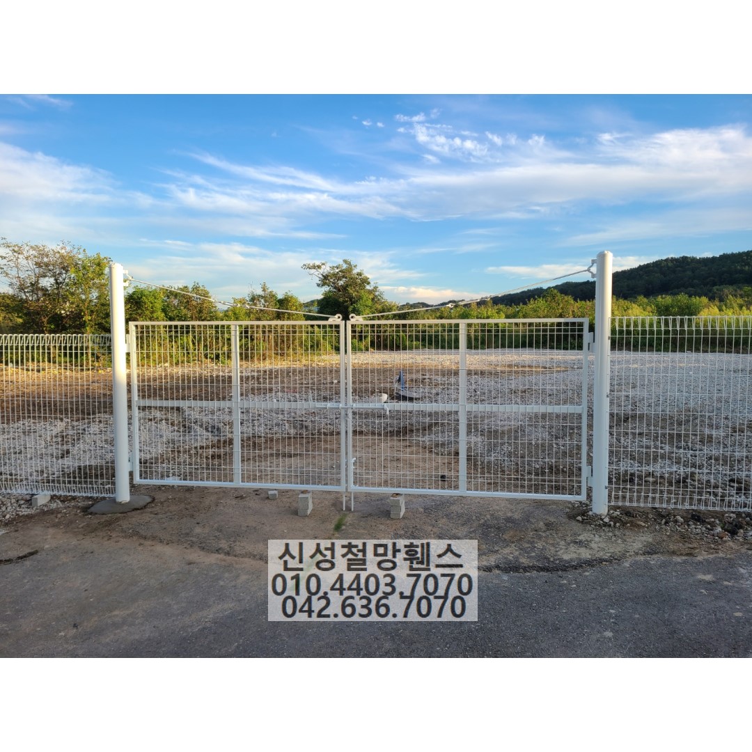 1981969669_D59oVXIW_288f11184e83b8ad8a12c450149147f2f623cf4f.jpg 이미지크게보기