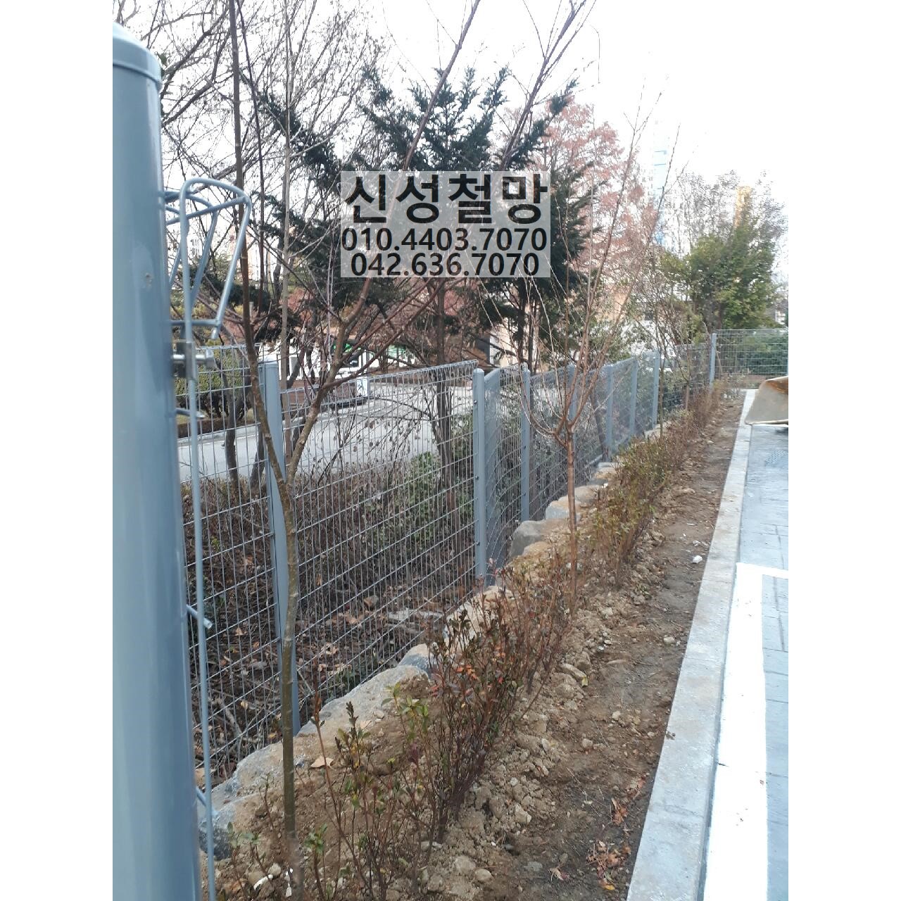 1981969669_DIbQ5dVJ_8a8a294a74fb418a3b48620312ea713e4012244d.jpg 이미지크게보기