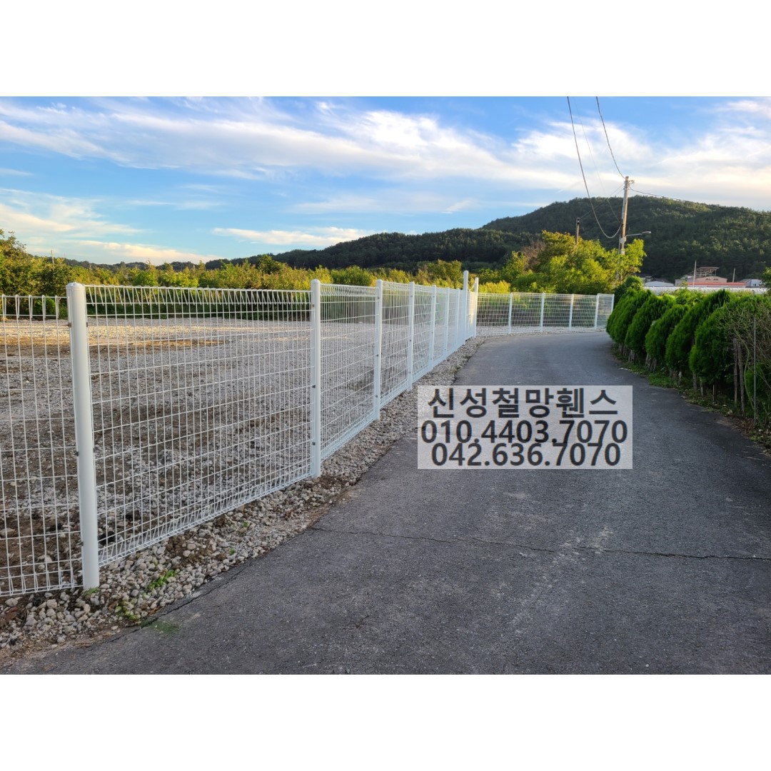 1981969669_GsUuA7gh_ea316d59982d5b974de63cdd3d942c801d19ae50.jpg 이미지크게보기