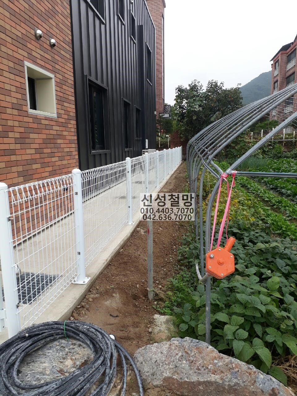 1981969669_ICrPo3qB_27db9df42b02ebd3a941d7257157846ccdb96e35.jpg 이미지크게보기