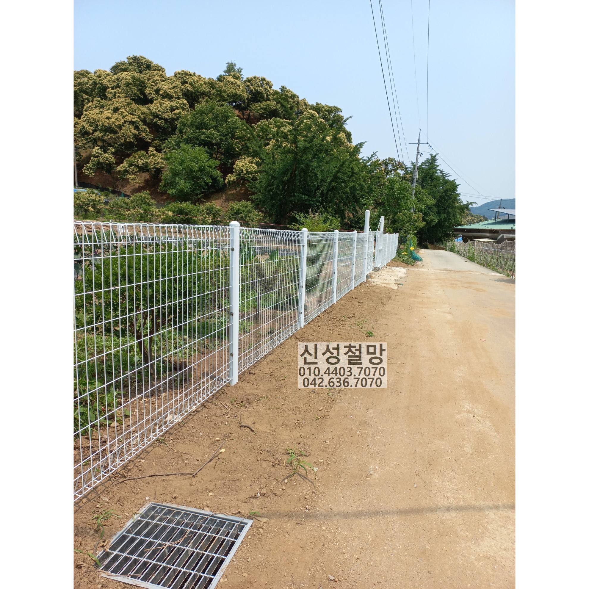 1981969669_JWqZpfB0_e326e33a8861966e8c82624ad60d6404c876b24a.jpg 이미지크게보기