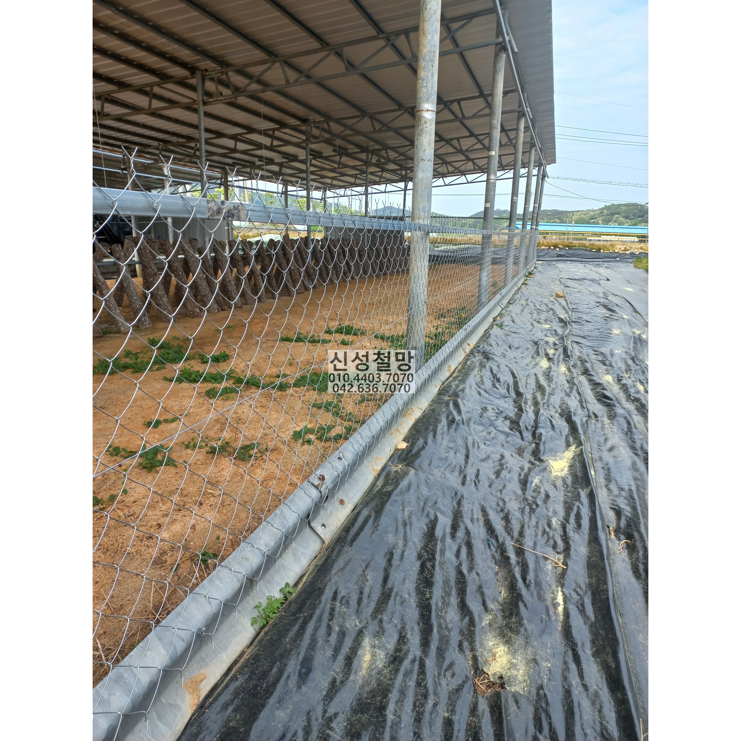 1981969669_NH6e7fJy_b0b0a19a55ebe3ca18e2291a3982efb66604eaa8.jpg 이미지크게보기