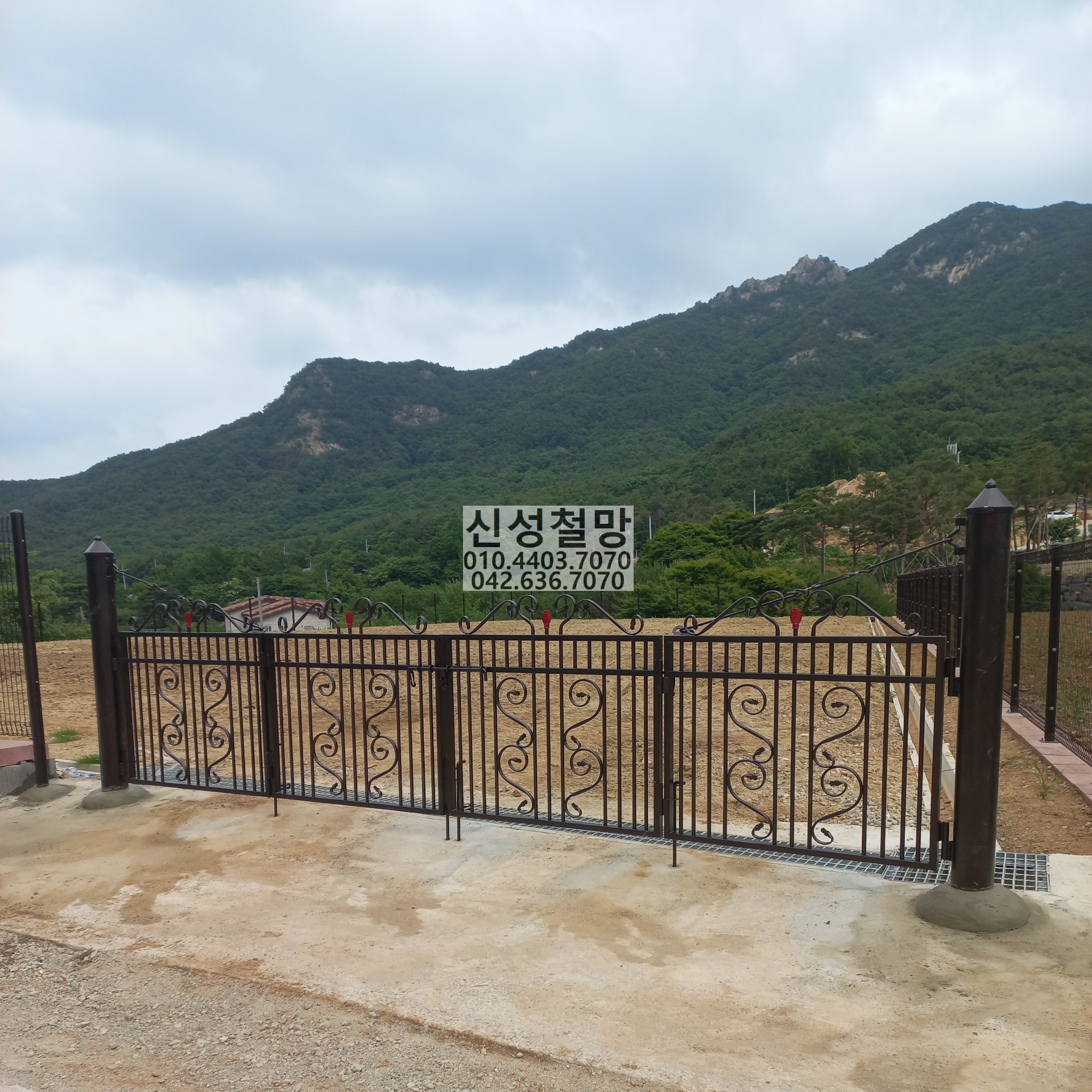 1981969669_NkxKn17v_17d9d46af0f42fbe1a1ceba81e773953885e5d60.jpg 이미지크게보기