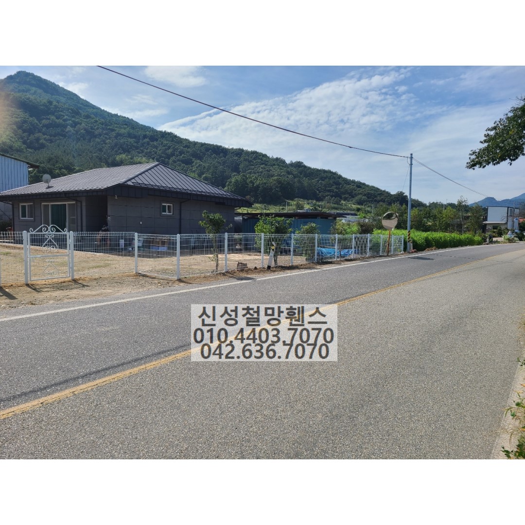 1981969669_PhTO4g9Z_9a14787e663561e8188f985e862068632e0a5fb9.jpg 이미지크게보기