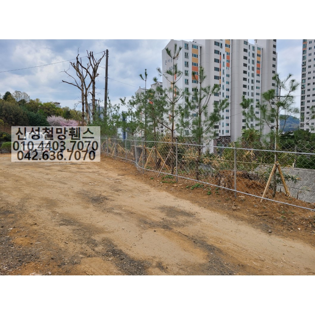 1981969669_RIVdg1qa_3b8e0bc5f87c1fdd9c0ded637c8dc64416e7c734.jpg 이미지크게보기