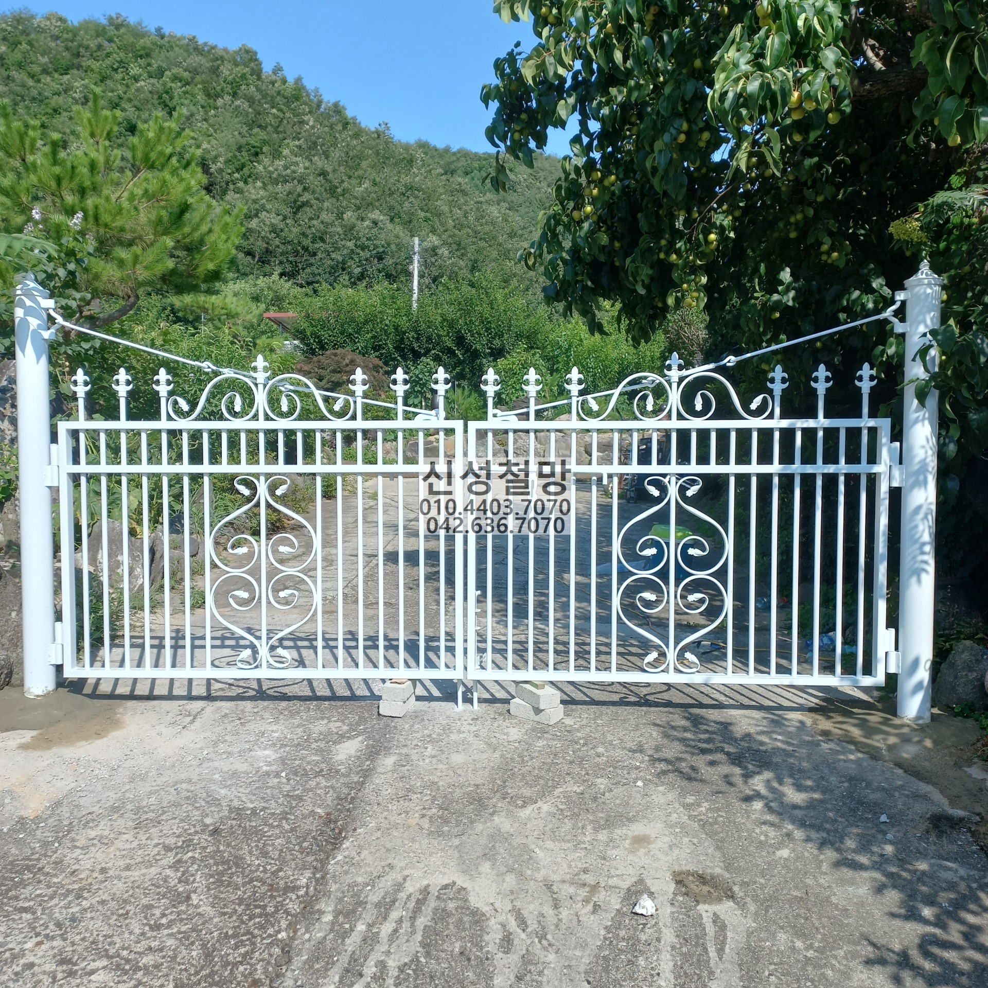 1981969669_UCFibpNc_d6d14b679925707024d8ae31f5eab30815b8a561.jpg 이미지크게보기