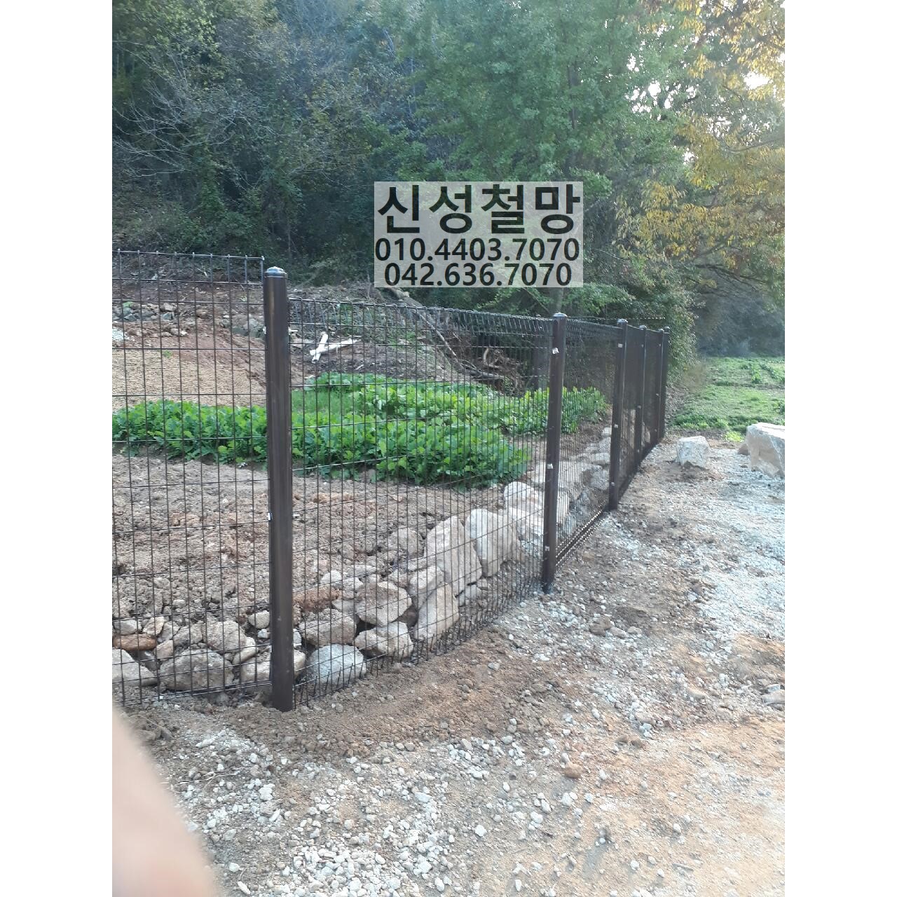 1981969669_XweARhWL_50944de77386435432330917fa75bf6ac576b8d8.jpg 이미지크게보기