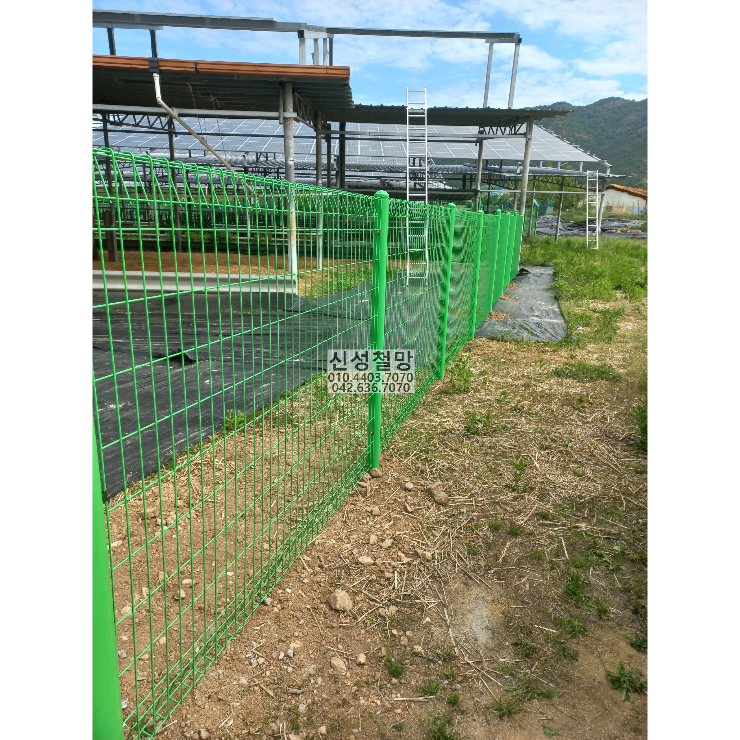 1981969669_Y7kc6LCi_afaee269ca3d56a2b6fba3f749d1a729960da79d.jpg 이미지크게보기