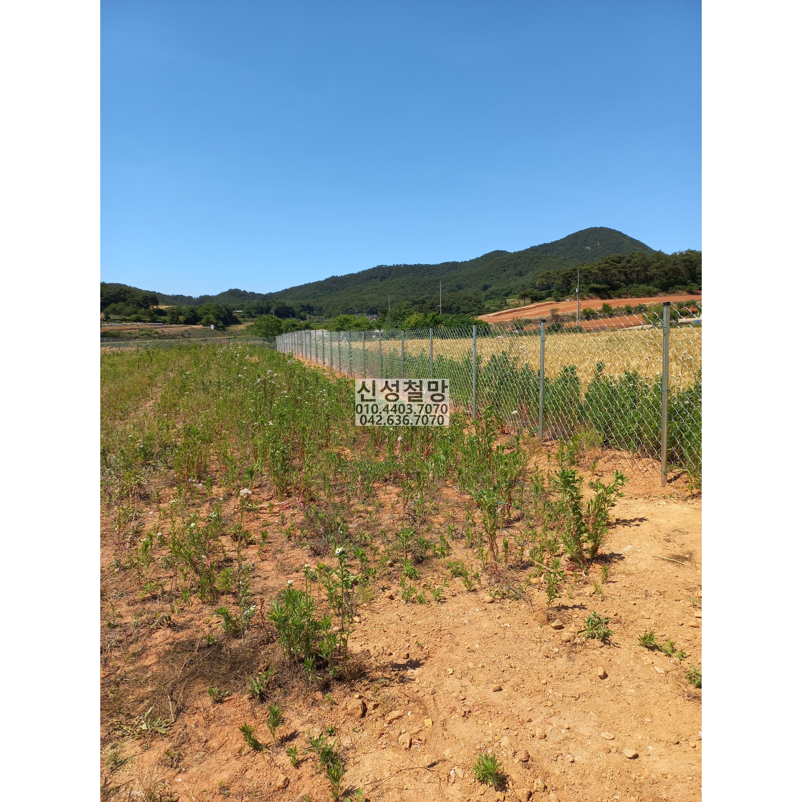 1981969669_dCqpRa9z_f96b3ef13f2de40e7a25fc1db2bbe2c9d954497f.jpg 이미지크게보기