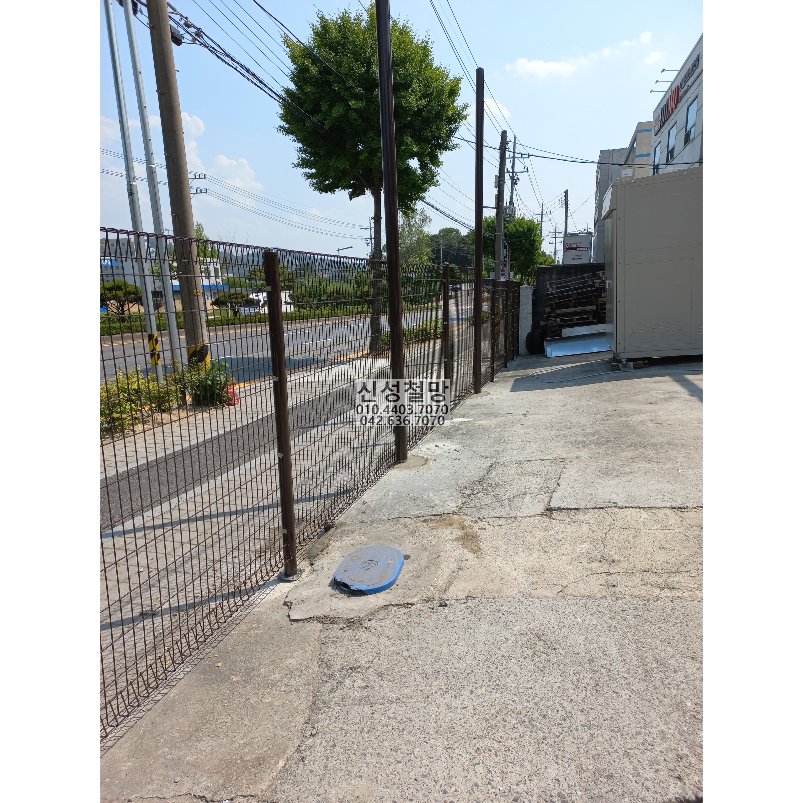 1981969669_hk8OjiYN_9b98b2226d751d34de62f1c53f89982404744f6d.jpg 이미지크게보기