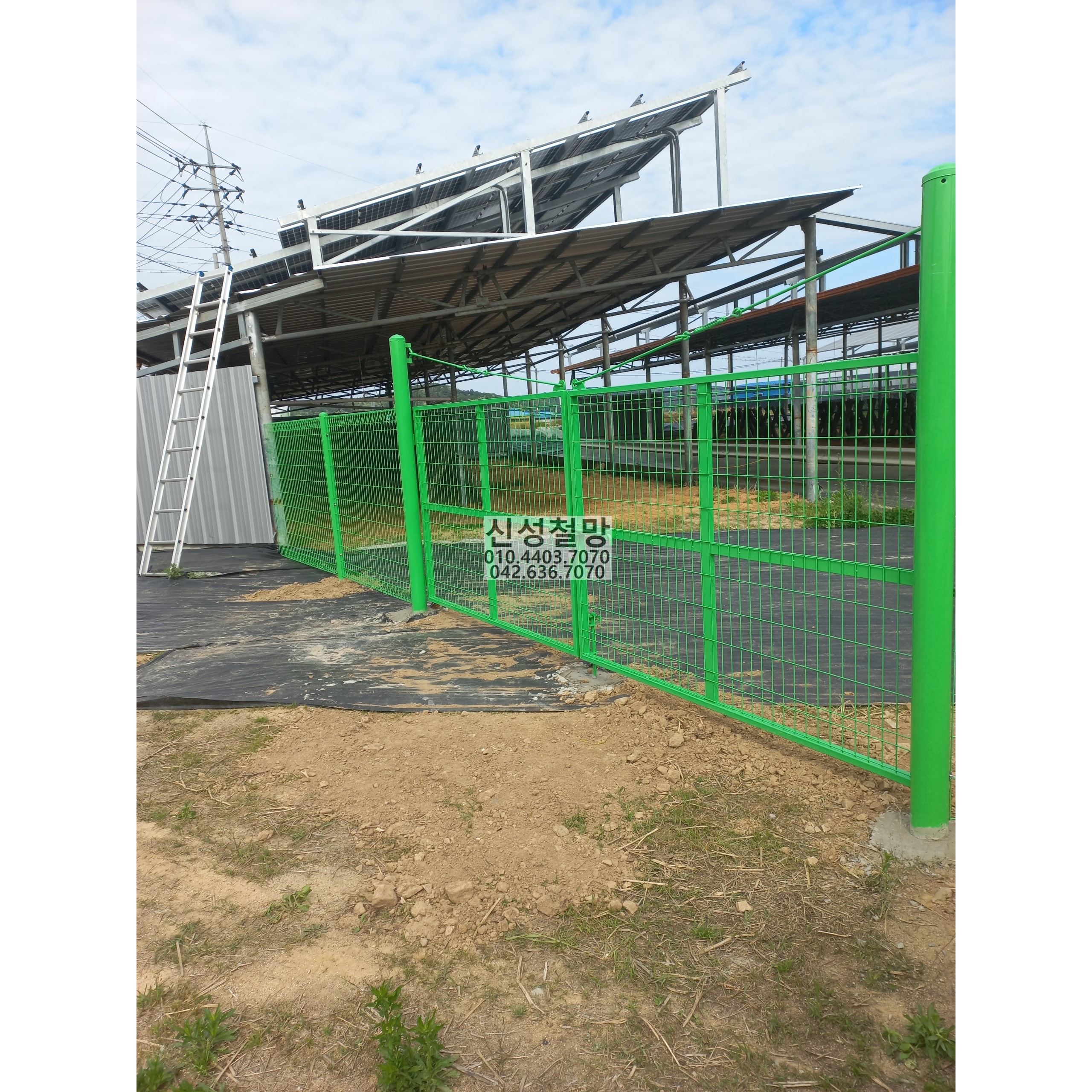 1981969669_iesyZh2b_a29e6a4d14cc5a42cb30555d12a1f4958223dbe5.jpg 이미지크게보기