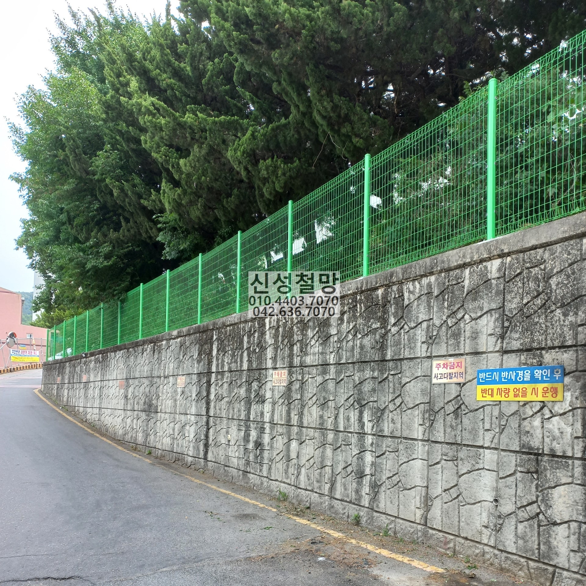 1981969669_ixIftqoU_b2fc2c1db48fea4ca8e0d1a5052df16350225fb8.jpg 이미지크게보기