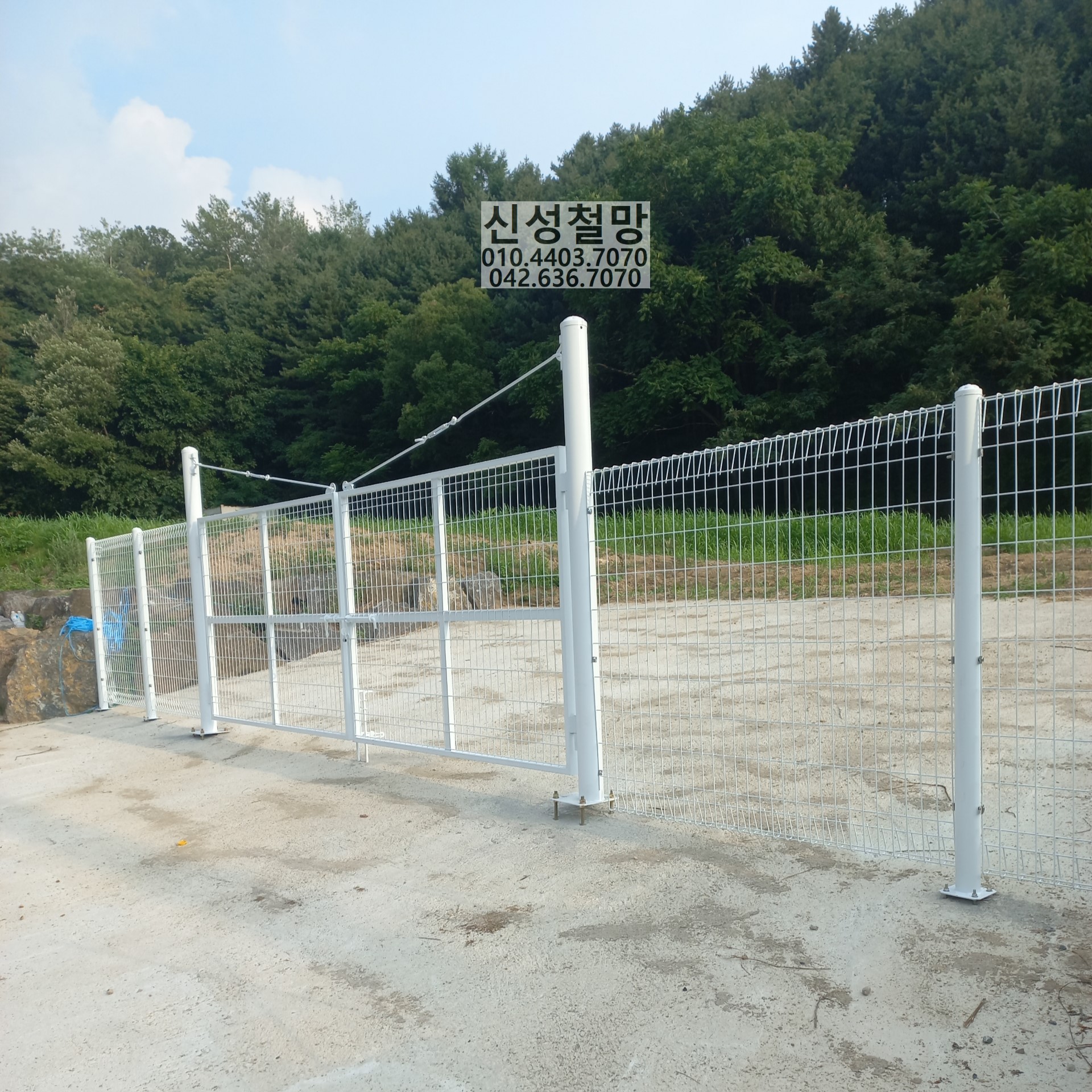 1981969669_jNpUZhKf_96f4f8518d644f8712e850dabbd034d762c28868.jpg 이미지크게보기