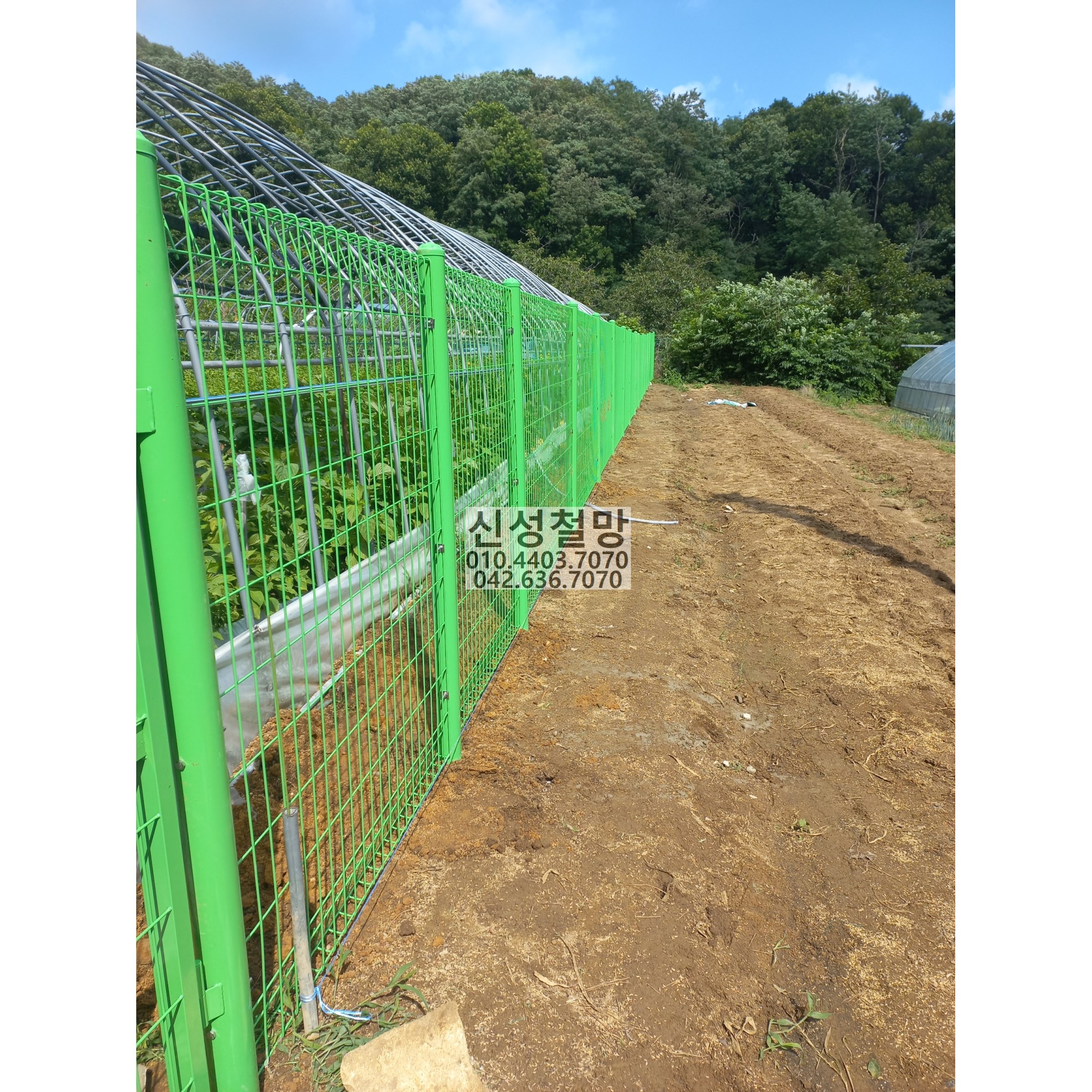 1981969669_nscV6JhX_c64cfb76ebfebb4fbebe7179ca4b84538883bba7.jpg 이미지크게보기