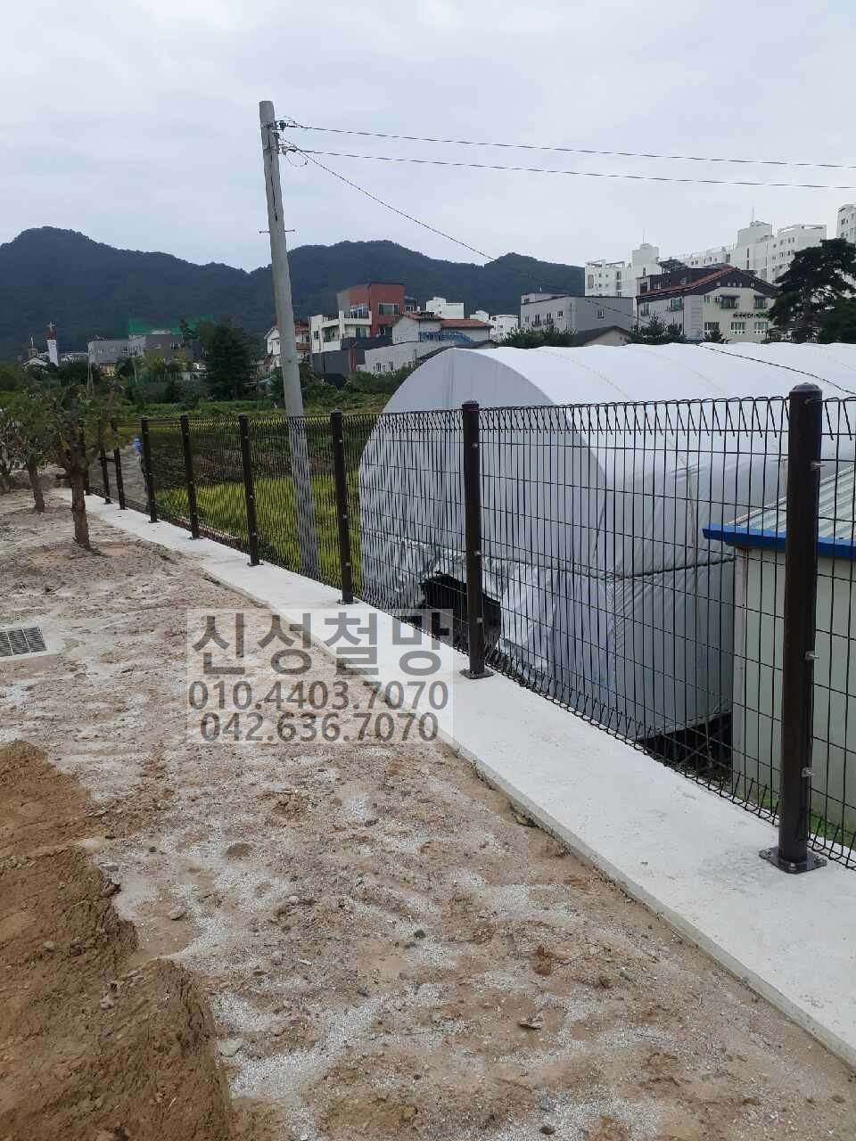 1981969669_p3KeV8yA_91921f74aaad0d0eef2fdbd83d7f6e9a4c043314.jpg 이미지크게보기