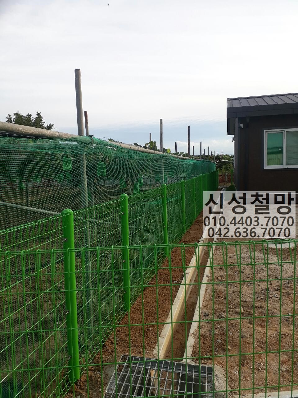 1981969669_sWPiDHt3_8d500775b879de2279adecfb67134e99e88d585d.jpg 이미지크게보기