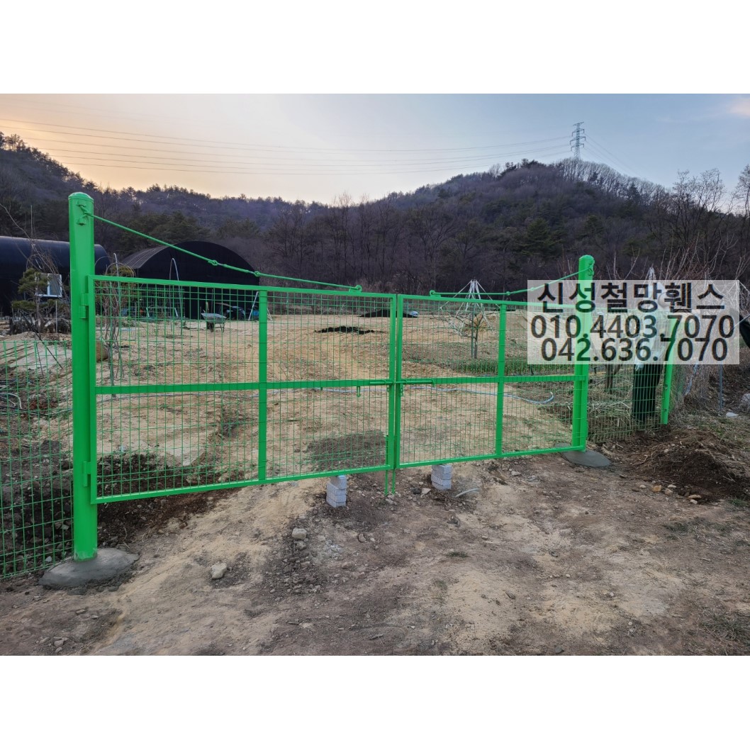 1981969669_sj3EH94r_ad8d6282c2e92beea703fce87fb2bf71bb6548d8.jpg 이미지크게보기