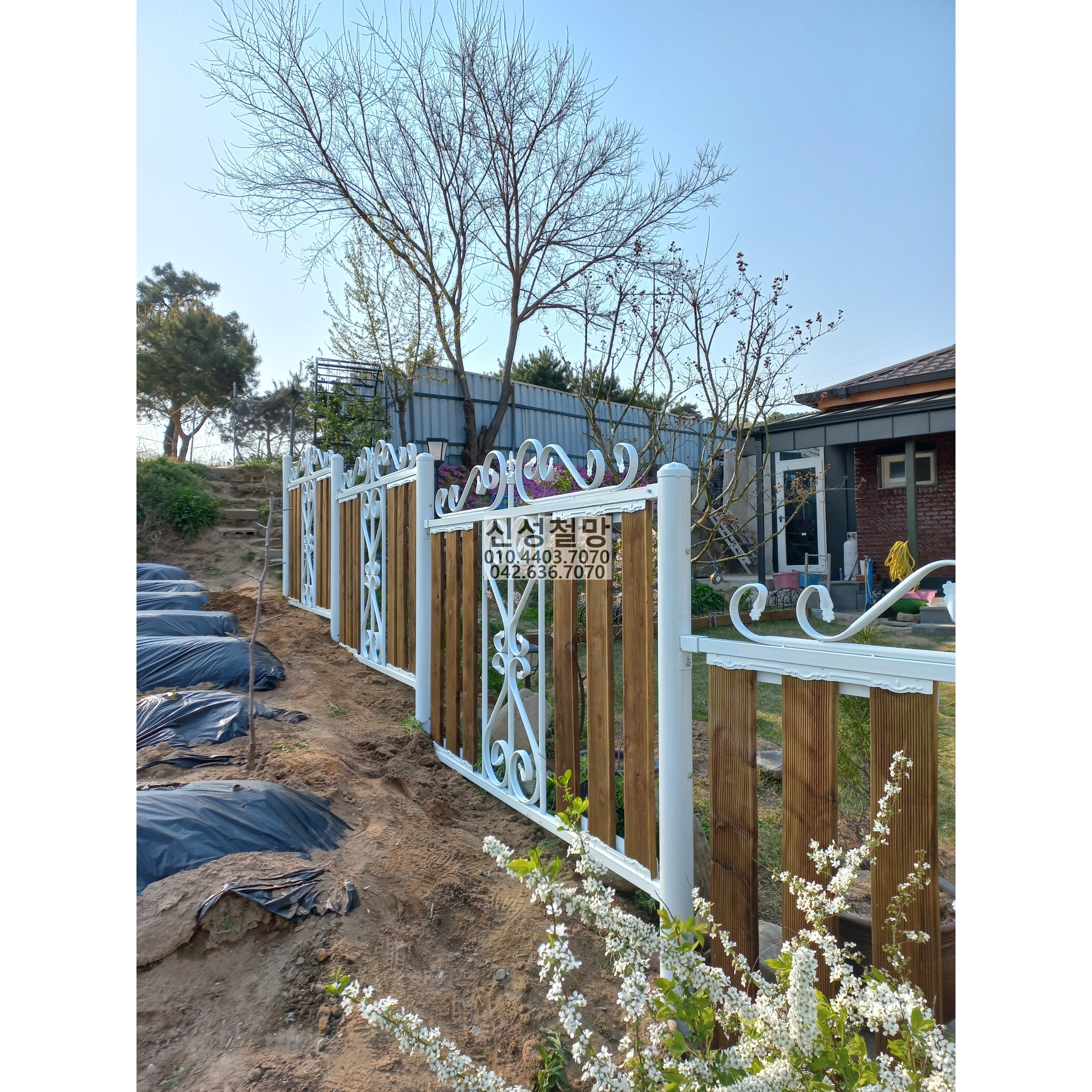 1981969669_sk80Vo6q_a11bef225aa18a7e395f45027bf4540ea7680a97.jpg 이미지크게보기