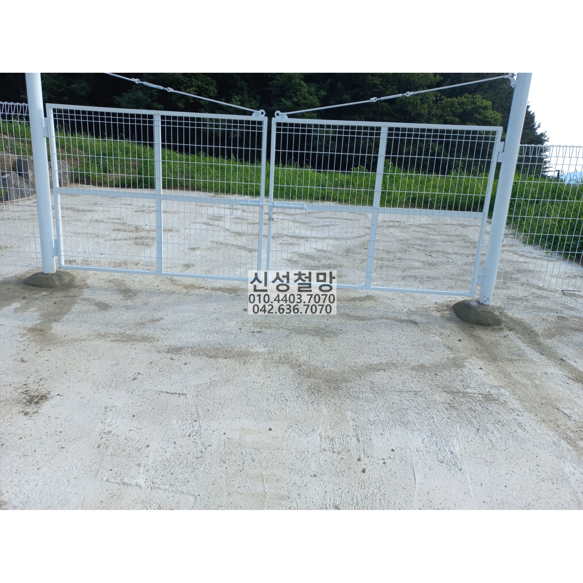 1981969669_tghJqfcN_72ac3bd70d8406647ada646c1099b74d0f691b53.jpg 이미지크게보기