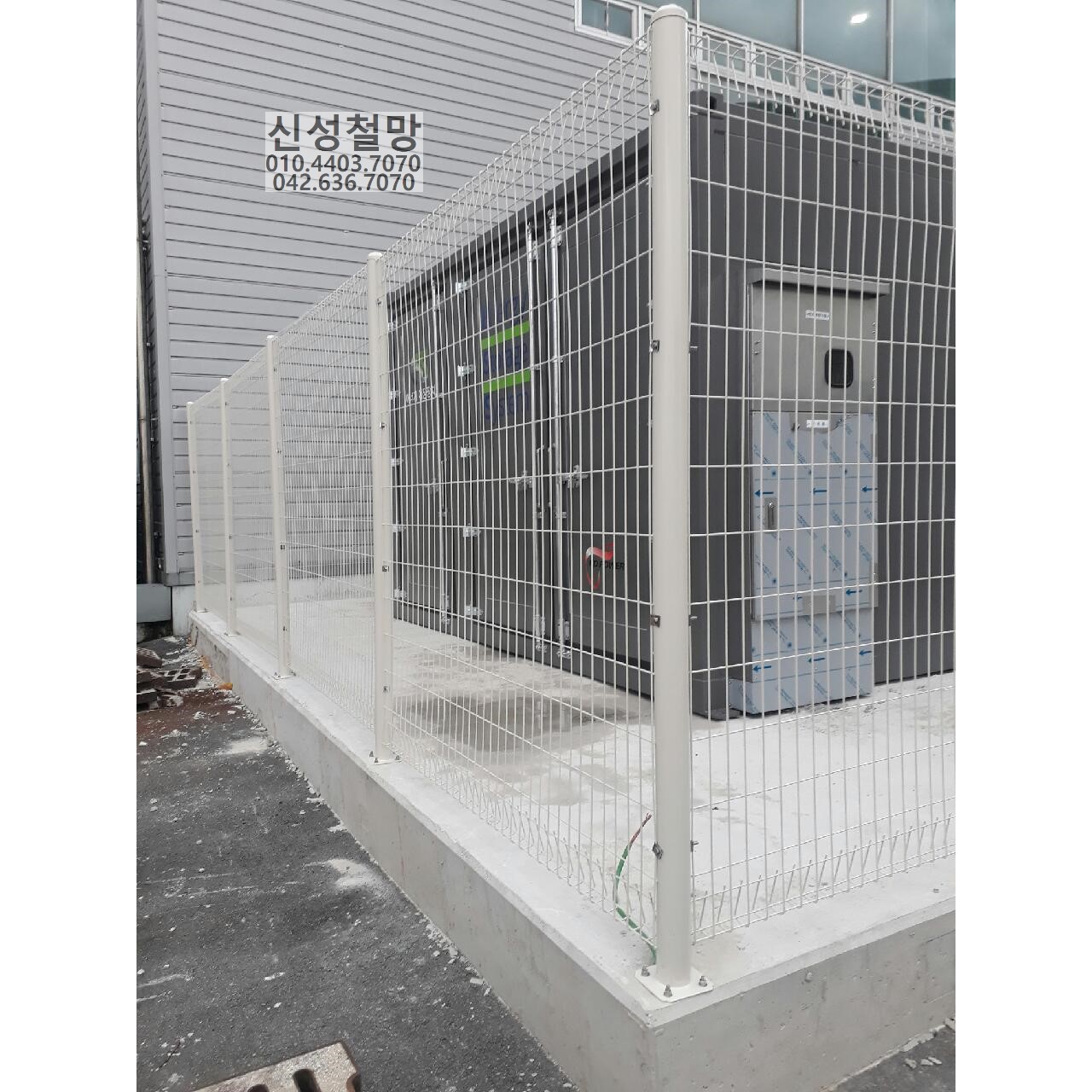 1981969669_vfoG83aq_926c19a3c26356c17417048ee80e97c4e8f51056.jpg 이미지크게보기