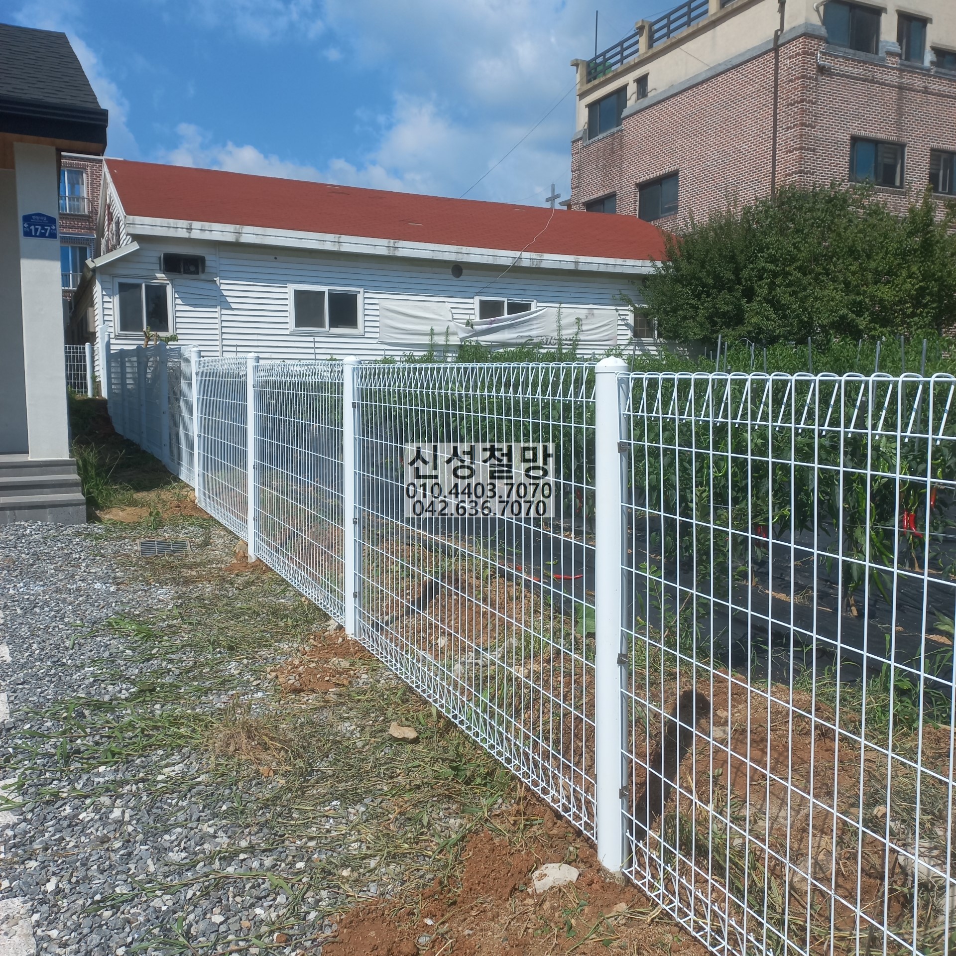 1981969669_w4fnXMG9_a1dba7572e5e8bb910a80d46a97a824bf4f06878.jpg 이미지크게보기