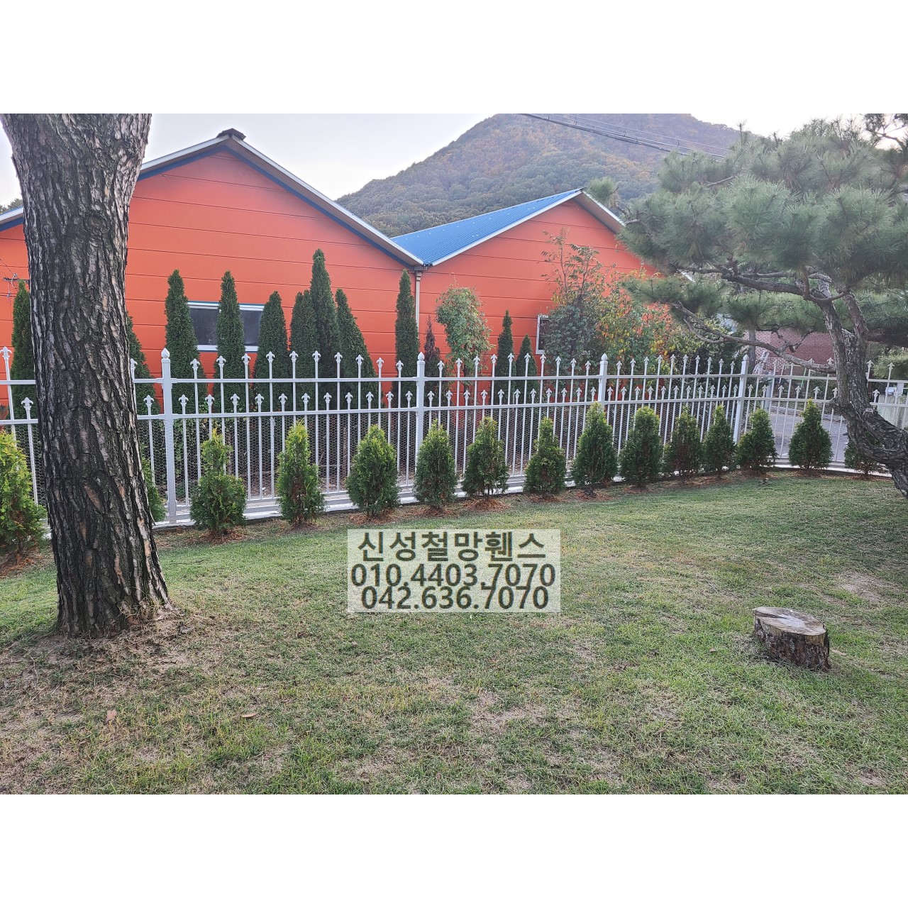 1981969669_wHeylnMW_e1f314dfe0187c08a437b1b2300115780ef80636.jpg 이미지크게보기