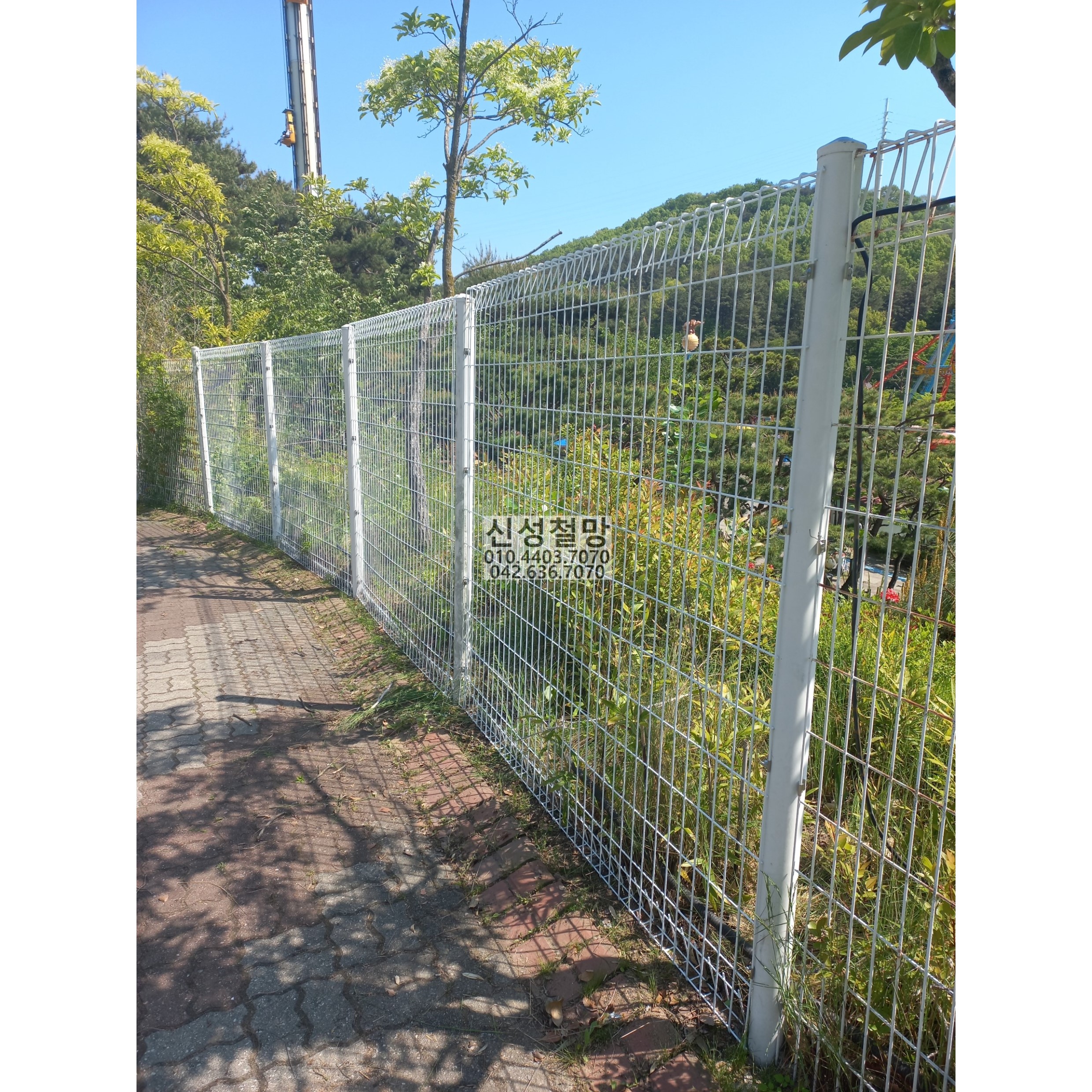 1981969669_yC2jSFEo_928845c42efa5ff66d01941b3a5102c7437a12db.jpg 이미지크게보기