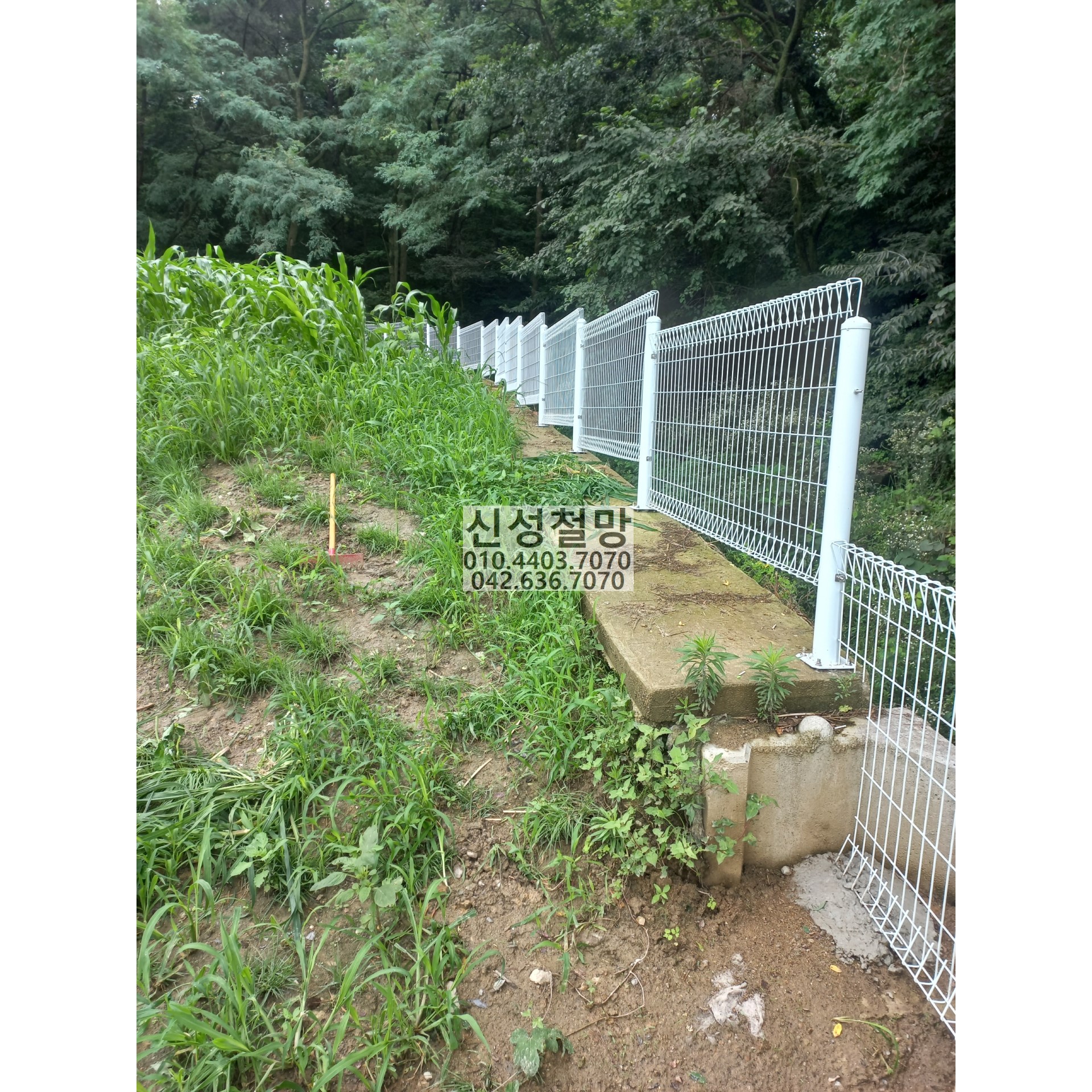 1981969669_zjfnQTpl_322eeafdcd9ea995ec6233831bf7cb61b2ad1084.jpg 이미지크게보기